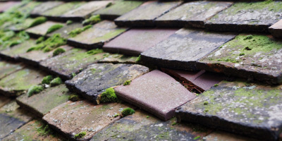 Ledborough roof repair costs